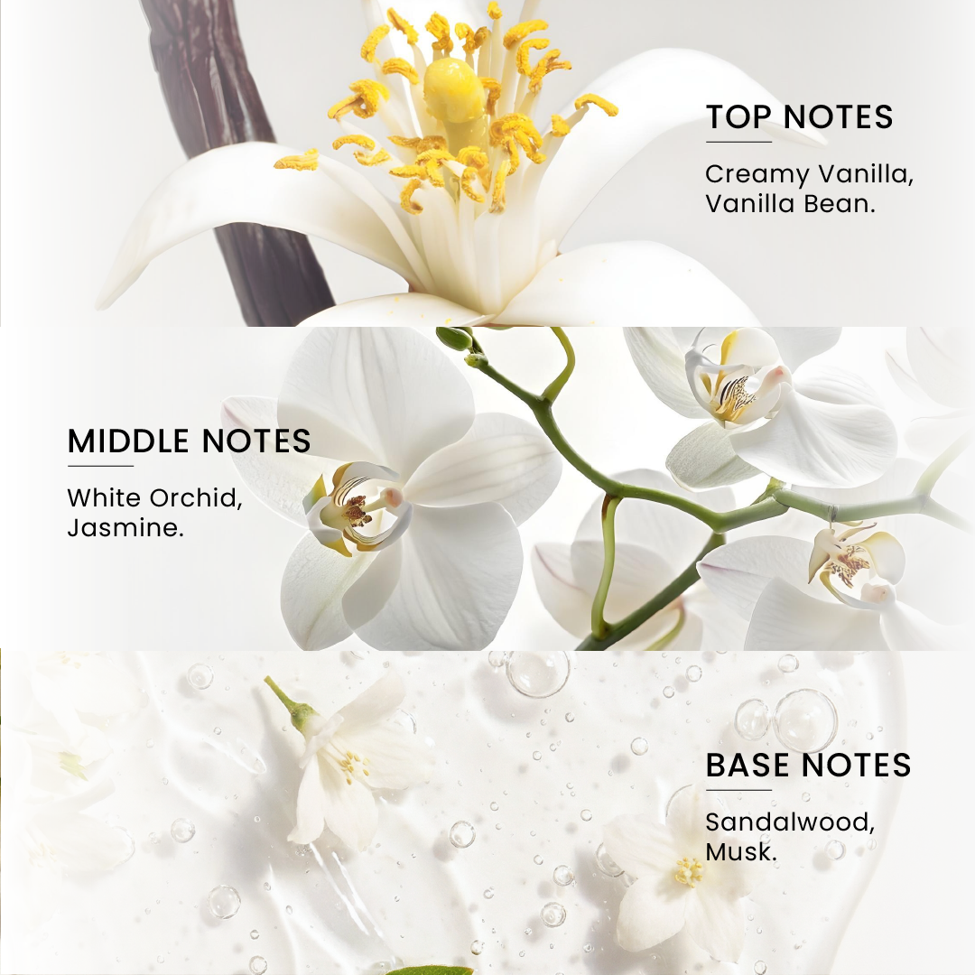 MOOD Vanilla Whitening Deodorant Roll-On 50ML scented Deodorant Roll-On routine